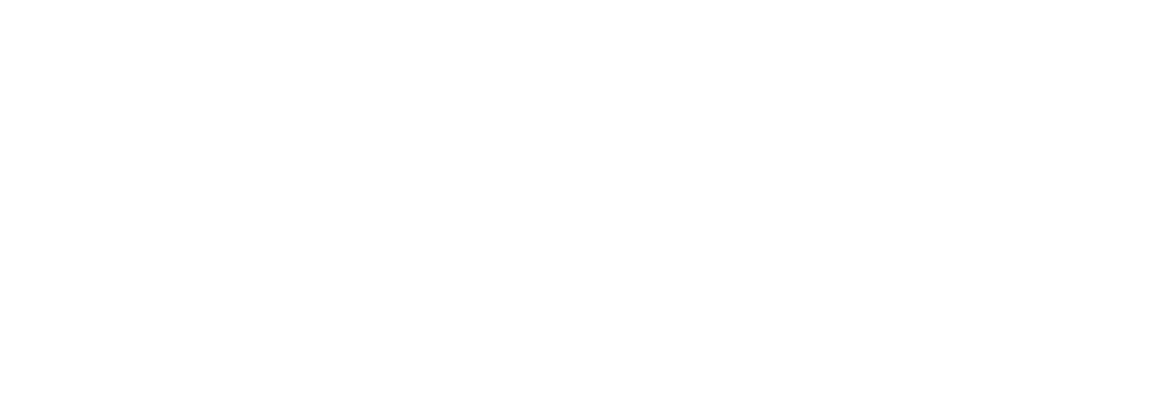 Ringler-Metallbau-Sicherheitstechnik-Ansbach-Logo